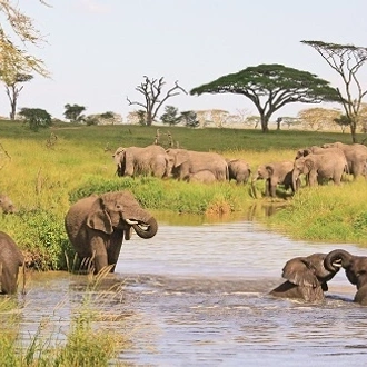 tourhub | Alaitol Safari | Great Migration Grumeti River 