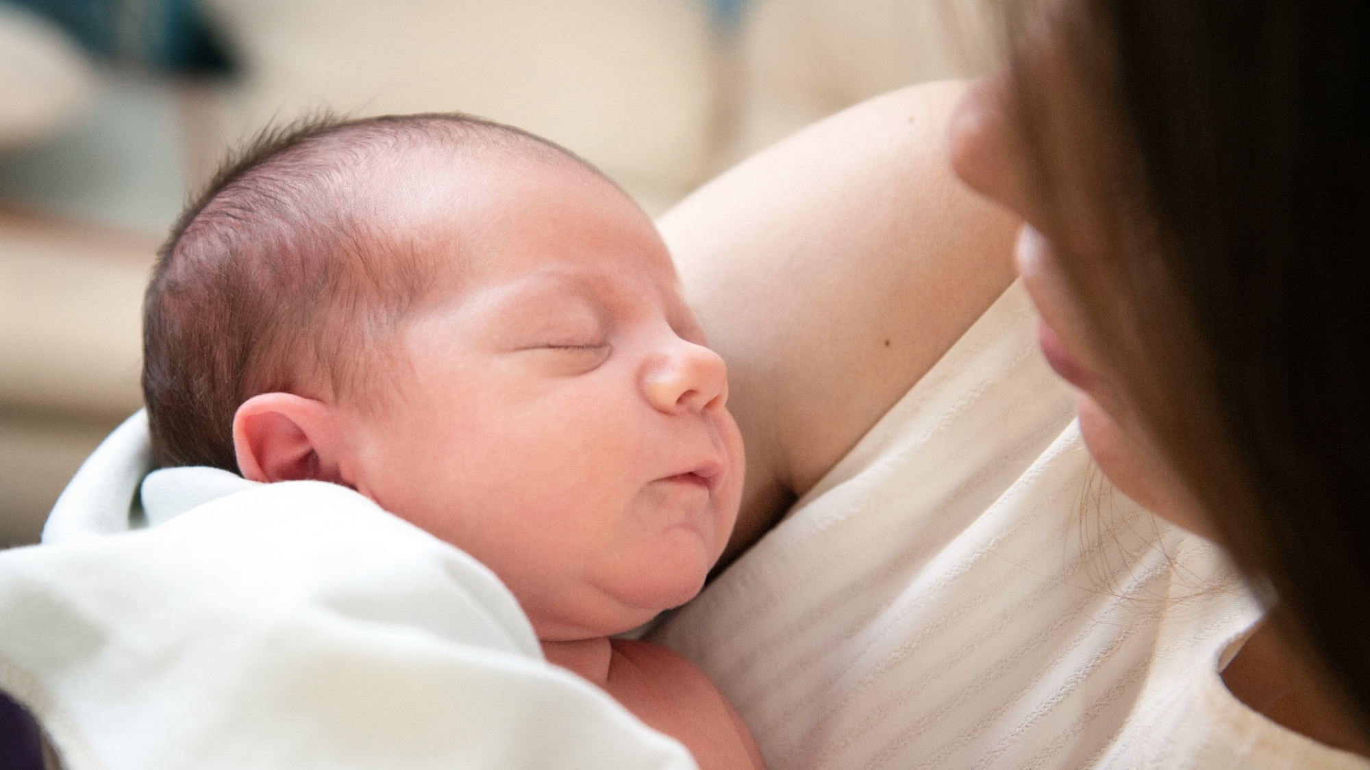 Représentation de la formation : L’après-naissance : un 4ème trimestre de gestation – Le post-partum