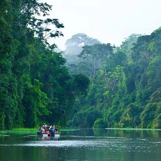 tourhub | Destiny Travel Costa Rica | 8 Days - San Jose - Tortuguero - Cahuita 