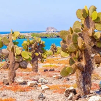 tourhub | On The Go Tours | Galapagos Encompassed - 17 days 