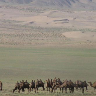 tourhub | SpiceRoads Cycling | Mountain Biking the Gobi 