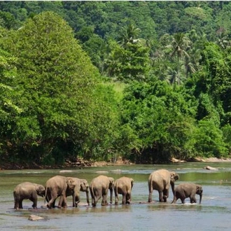 tourhub | World Expeditions | Sri Lanka by Bike 