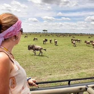 tourhub | Gracepatt Ecotours Kenya | 6 Days Masai Mara Wildebeest Migration Safari Holiday 