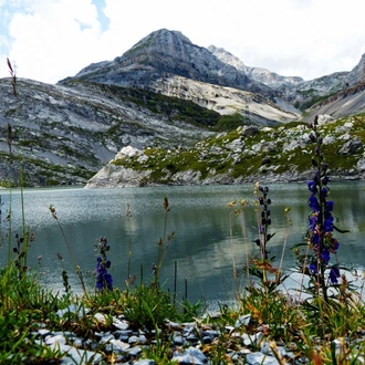 tourhub | Exodus Adventure Travels | Walking and E-biking in the Swiss Alps 