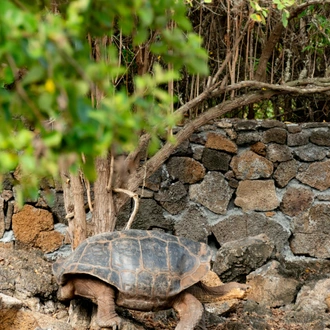 tourhub | Ecuador Galapagos Travels | 5 days Adventure Trip in Galapagos 