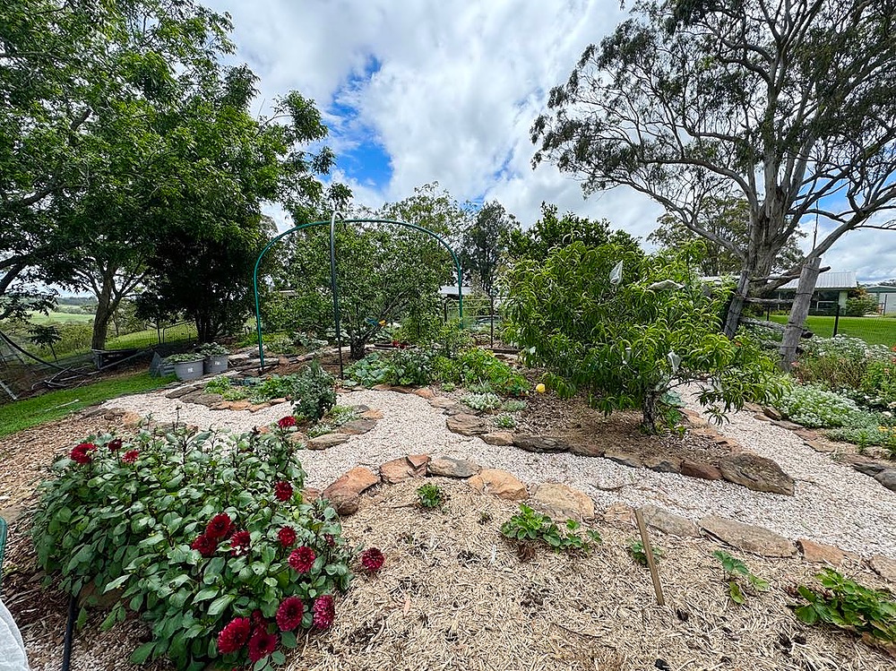 Sheree and Henry's Garden