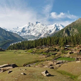 tourhub | Wild Frontiers | Pakistan: Summer Mountain Explorer 