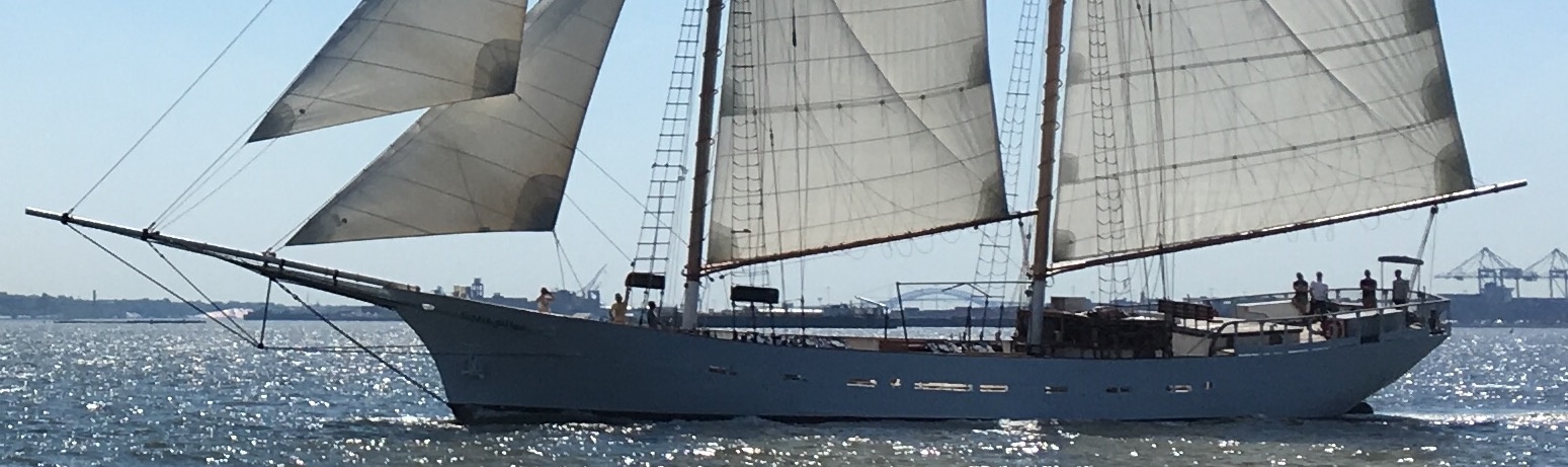 Day Sail Through NYC Harbor with Snacks & Bar On Board (Up to  15 Passengers) image 6