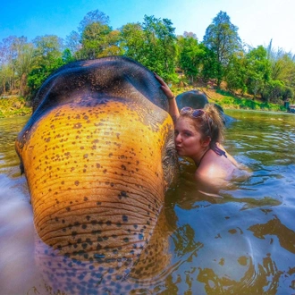 tourhub | Backpacking Tours | Volunteering with Elephants: Thailand 