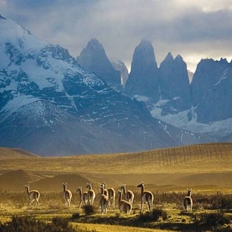 tourhub | World Expeditions | Great Patagonian Traverse 