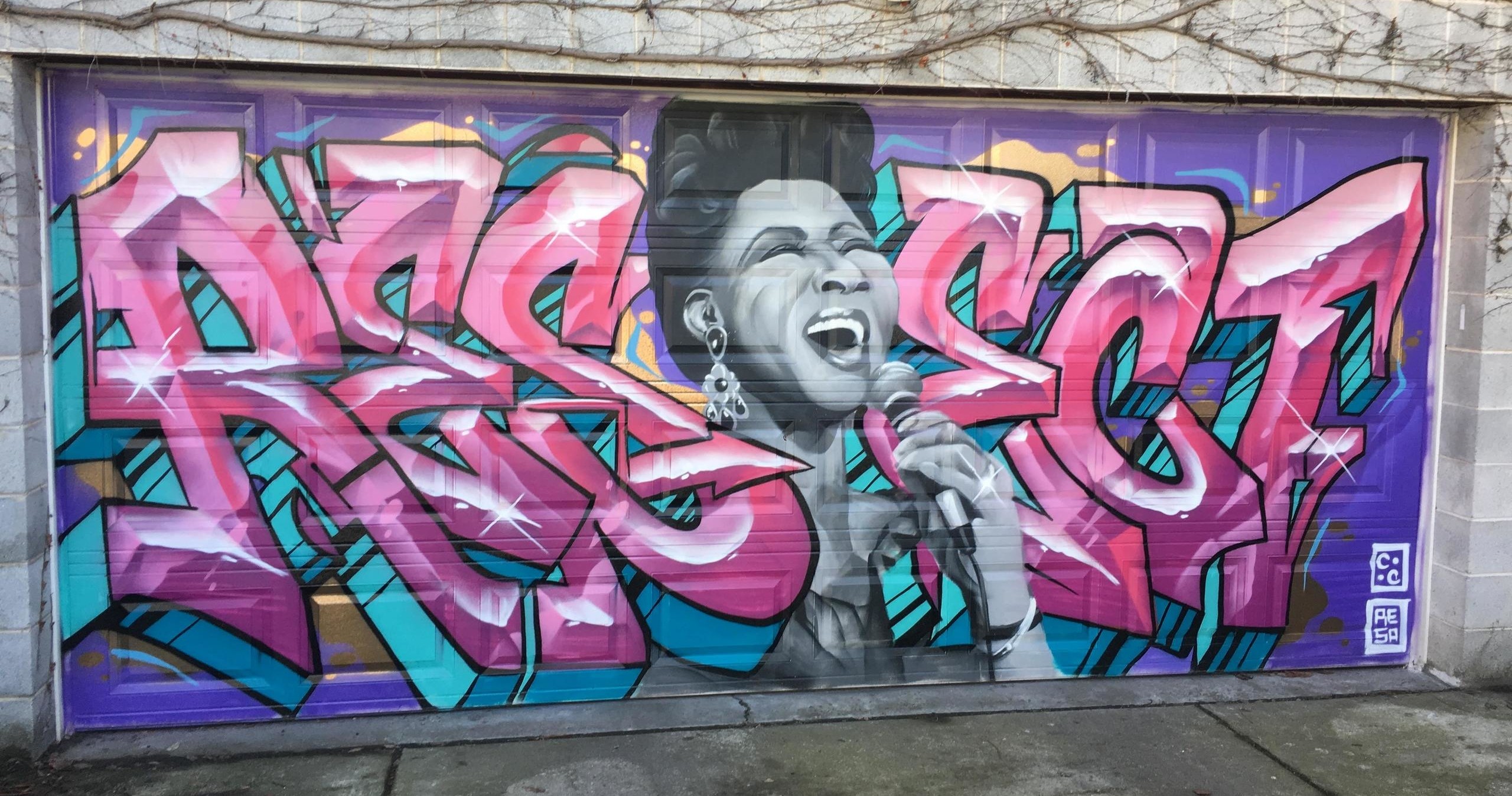 Offbeat Street Art Tour Celebrating Chicago’s Street Art Scene image 6