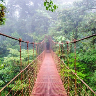 tourhub | Destination Services Costa Rica | Monteverde Cloudforest Essences, Short Break 