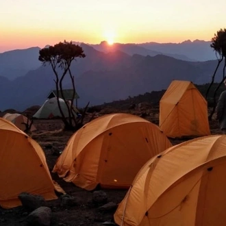 tourhub | World Adventure Tours | Climbing Kilimanjrao Via Machame Route 8 Days 