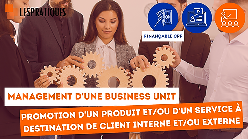 Représentation de la formation : Management d'une business unit (certifiant)