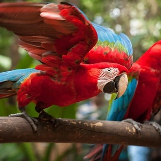 tourhub | Neumann Operadora de Receptivo | 3-Day Private Guided Tour of Iguazu Falls 