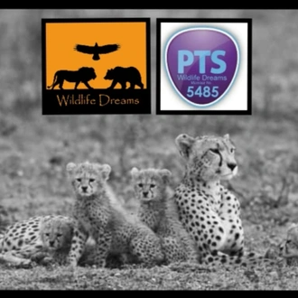 tourhub | Wildlife Dreams | Wildlife Dreams Tailor- Made Safaris 