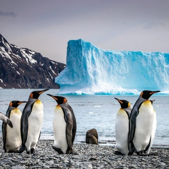 tourhub | Aurora Expeditions | Antarctica Complete 