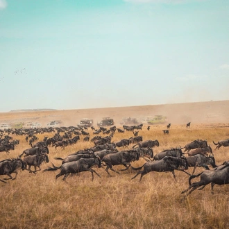 tourhub | Exodus Safaris | 6-Day Kenya Luxury Safari Package: Amboseli, Flight to Masai Mara, Lake Nakuru 