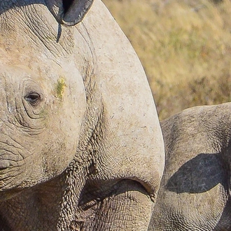 tourhub | Intrepid Travel | Botswana Family Safari with Teenagers 