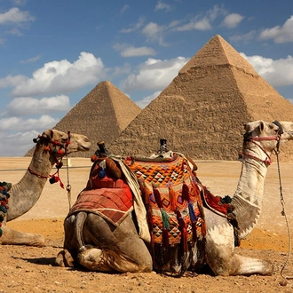 tourhub | Indus Travels | Best of Egypt 