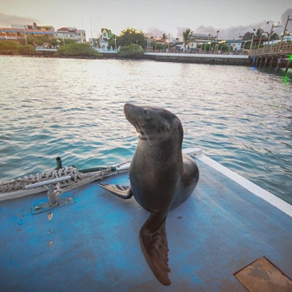 tourhub | G Adventures | Galápagos – West and Central Islands aboard the Reina Silvia Voyager (Cruise Only) 