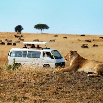 tourhub | Gracepatt Ecotours Kenya | 8 Days Discover Kenya Safari with 4x4 Land Cruiser Jeep  