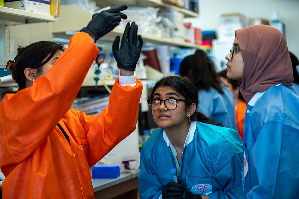 Students conducting an experiment