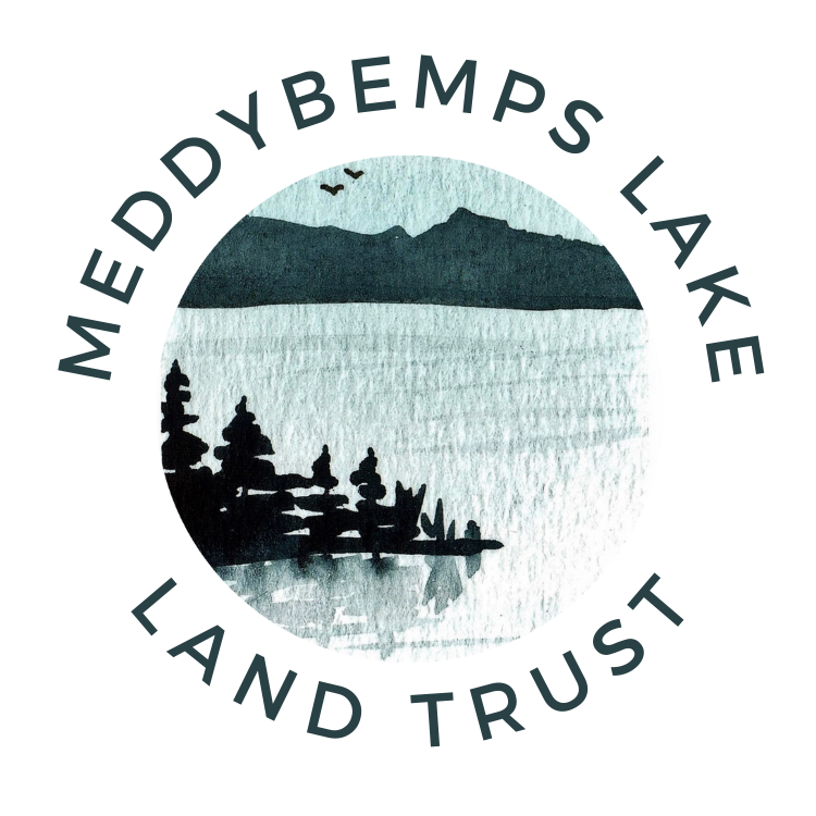Meddybemps Lake Land Trust logo