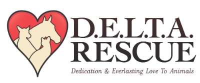 D.E.L.T.A. Rescue logo