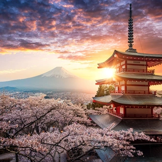 tourhub | Europamundo | Wonders of Japan end Tokyo 