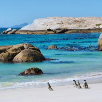 tourhub | Travel Department | Cape Town, the Garden Route & Winelands - Solo Traveller 