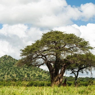 tourhub | Beach and Safari Holidays | Tanzania's Untamed Treasures 