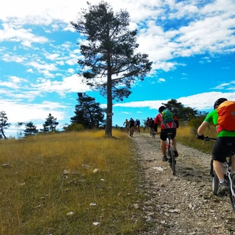 tourhub | Undiscovered Mountains | Alps to Provence E-mountain Bike Tour 