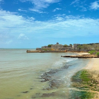 tourhub | Agora Voyages | Gujarat Delights: History, Wildlife, and Coastal Bliss 