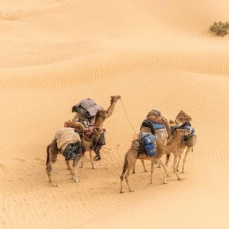 tourhub | VirSem Fun & Travel | Explore the Sahara: 7-Day Camel Trek Adventure in Tunisia 