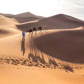 tourhub | Best Tours Morocco | The Best of Morocco: A 14-Day Adventure 