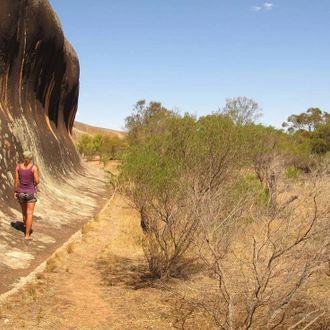 tourhub | Intrepid Travel | Eyre Peninsula Adventure 