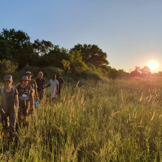 tourhub | Exodus Adventure Travels | Botswana & Zimbabwe Lodge Safari 