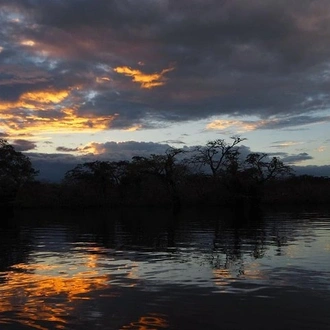 tourhub | Rebecca Adventure Travel | 4-Day Cuyabeno Amazon Adventure: Bird Watching, Wildlife, Hiking, Kayaking 