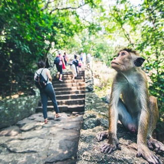 tourhub | Intrepid Travel | Best of Sri Lanka 