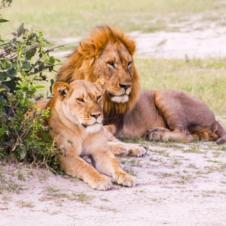 tourhub | Exodus Adventure Travels | Wildlife & Wilderness of Botswana 