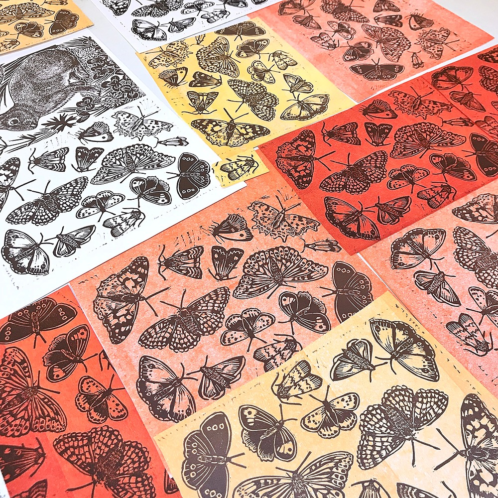 lino printed moths printed in black ink on various coloured papers.