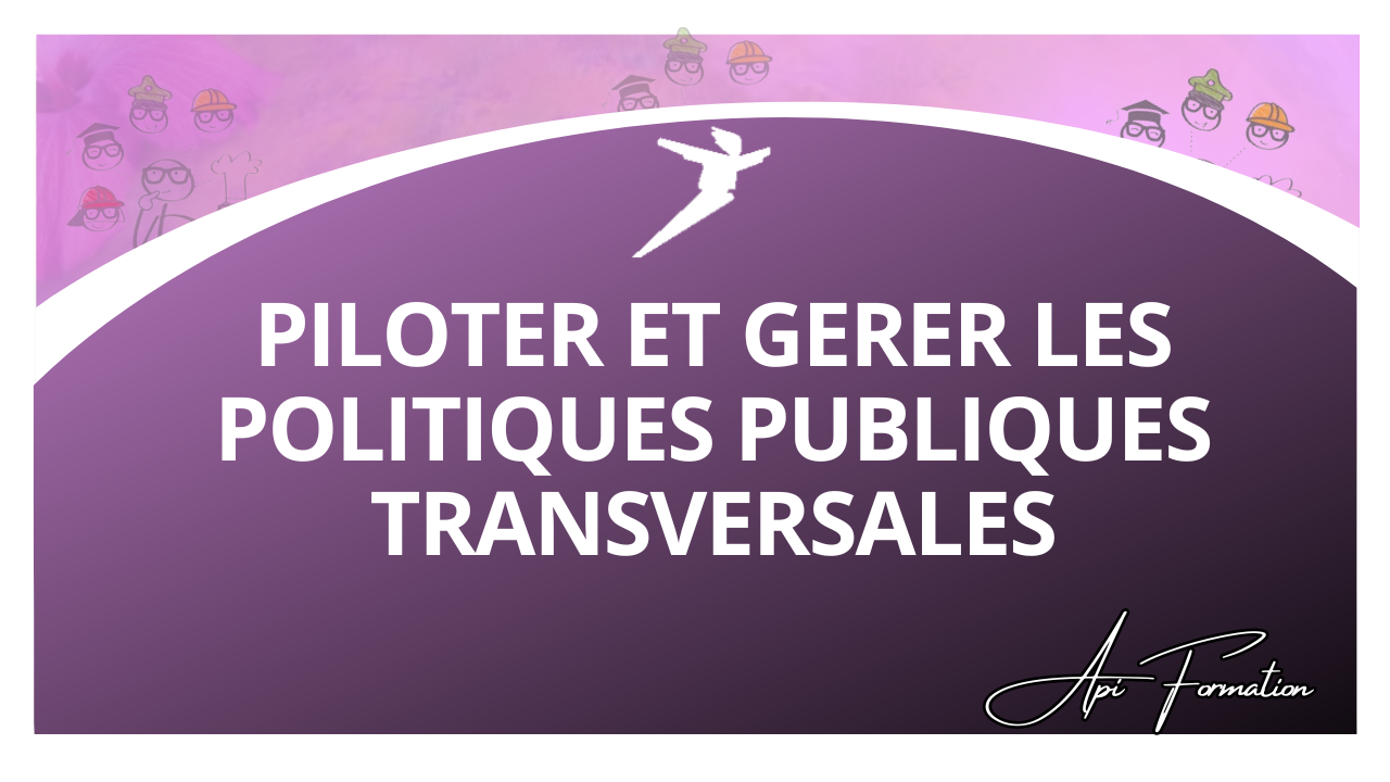 Représentation de la formation : PILOTER ET GERER LES POLITIQUES PUBLIQUES TRANSVERSALES