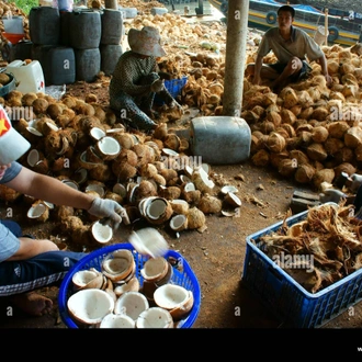 tourhub | CONNEK TRIP | 2D1N Mekong Delta Discovery: Island Hopping, Local Life, and Floating Markets 