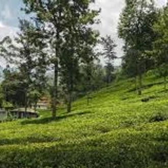 tourhub | Ceylon Travel Dream | 03 Day Scenic Kandy and Nuwara Eliya 