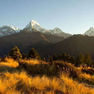 tourhub | Sherpa Expedition & Trekking | Ghorepani Poon Hill Trek 6 Days 