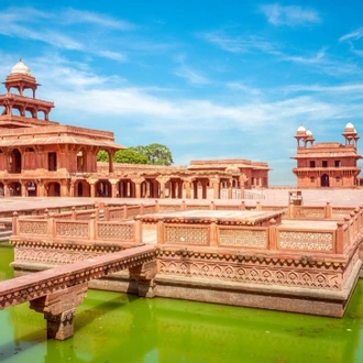 tourhub | Travel Department | India’s Golden Triangle: Taj Mahal & Ranthambore Safari incl. Dubai extension 