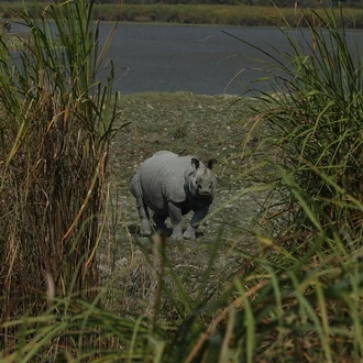 tourhub | Agora Voyages | Kaziranga National Park & Guwahati 