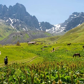 tourhub | Wild Frontiers | Walking in Georgia’s Caucasus Mountains: Kazbegi & Tusheti 