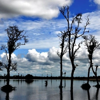 tourhub | Agora Voyages | Tribal Communities & Ever Green Landscapes of North East India 